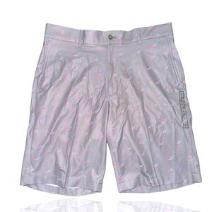 Walter Hagen Patriotic Golf Shorts: Perfect 11 Collection: New With Tags: SZ 34